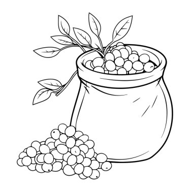 Tohumların minimalist tasviri botanik grafikler için idealdir..