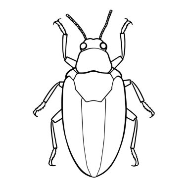 Hamamböceği ana hat simgesi vektör biçiminde, grafik projeleri için ideal.