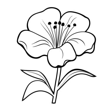 Lily, çiçek temalı grafik tasarımları için mükemmel bir vektör simgesi çizdi.