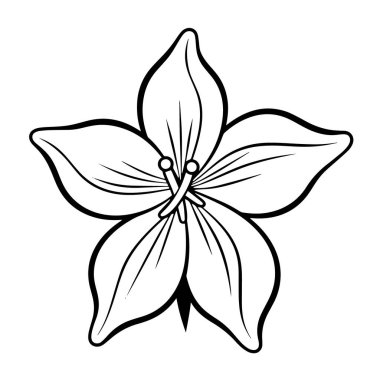 Lily, çiçek temalı grafik tasarımları için mükemmel bir vektör simgesi çizdi.