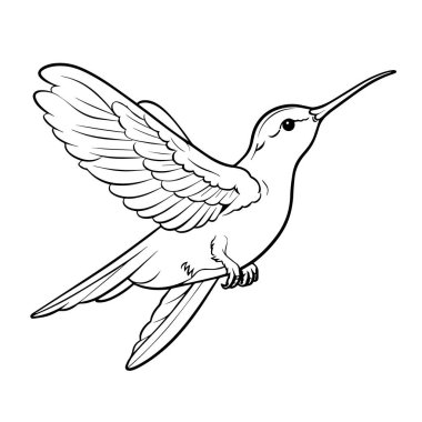 Parlak sinekkuşu ikon vektörü, doğa temalı projeler için mükemmel. Zarif cazibe.