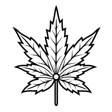 Temiz ve minimalist marihuana yaprağı ana hatlı vektör grafiği.