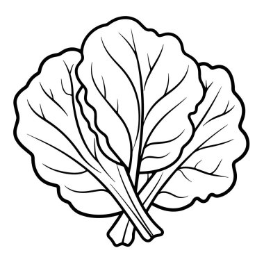 Taze bir lahananın taslak simgesini içeren vektör illüstrasyonu.