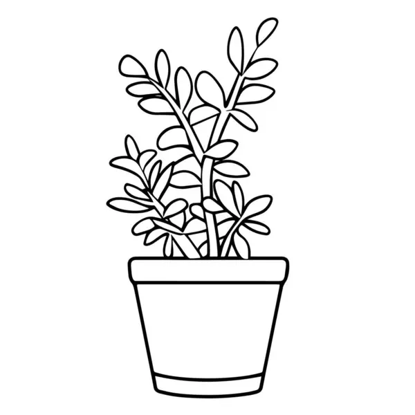 Ilustração Vetorial Esboço Vaso Planta Minimalista Ilustração De Stock