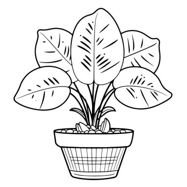 Modaya uygun bir Monstera saksısı çiziminin vektör çizimi.