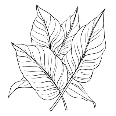 Tropik yapraklar ana hat sembolü, doğa ya da orman grafikleri için mükemmel..