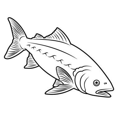 Vektör biçiminde temiz somon ana hatları, mutfak grafikleri için mükemmel..