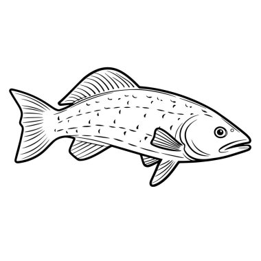 Vektör biçiminde temiz somon ana hatları, mutfak grafikleri için mükemmel..