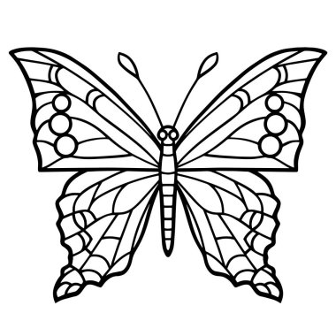 Zarif kelebek ana hatları vektör biçiminde, zarif tasarım aksanları için ideal.