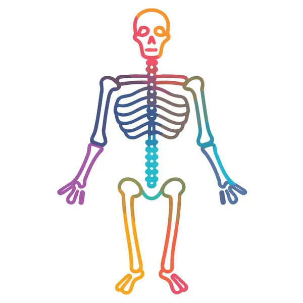 Vector Skeleton Icon Suitable Spooky Designs Anatomical References — Archivo Imágenes Vectoriales