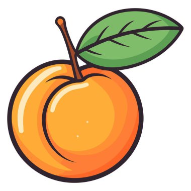 Taze ürünleri, besinleri veya meyve bazlı ürünleri temsil etmeye uygun, vektör biçiminde bir kayısı simgesi.