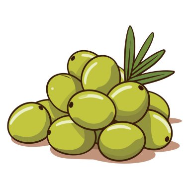 Taze yeşil zeytin yığınının ayrıntılı vektörü, mutfak tasarımları için mükemmel..