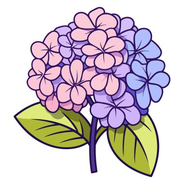 Çiçek temalı grafikler için mükemmel olan ortanca çiçek simgesinin ayrıntılı vektörü.