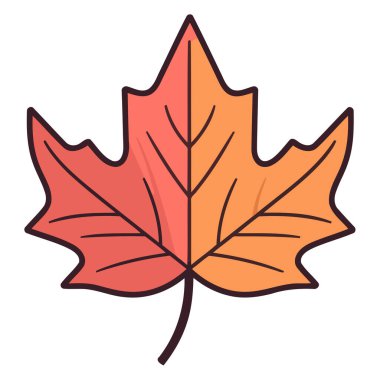 Bir sonbahar akçaağaç yaprağının ana hatlı vektör simgesi, karakteristik loblarını ve tırtıklı kenarlarını vurguluyor