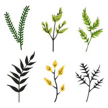 Yapraklar, dallar ve tohumların birleşiminden oluşan bir neem kümesini tasvir eden bir vektör tabanlı simge