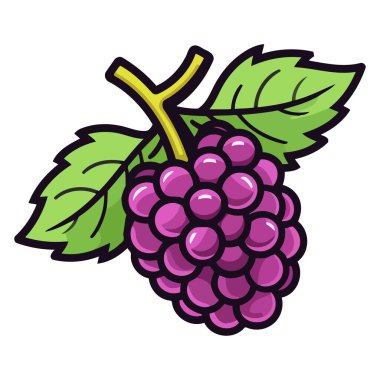 Dut tabanlı bir ikon vektör, karakteristik engebeli dokulara sahip böğürtlen koleksiyonu içeriyor