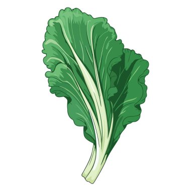 Pak choi lahanasının bir ikonu, belirgin yaprakları ve sağlam bir tabanı olan basit bir özet içeriyor.