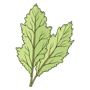 Mizuna marulu tabanlı bir vektör ikonu, fırfırlı yapraklı belirgin bir ana hatla