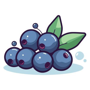 Vektör biçiminde bir yaban mersininin grafiksel çizimi.