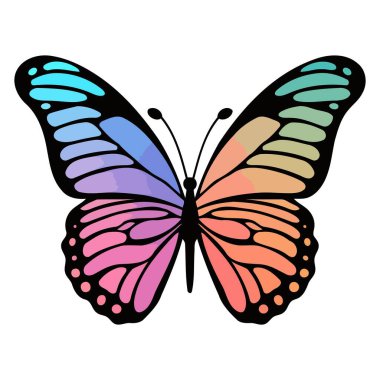 Zarif kanat desenleri sergileyen bir kelebeğin vektör çizimi.