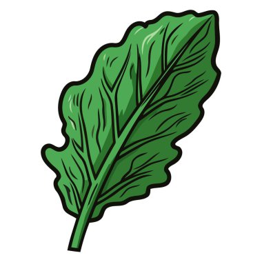 Pazı yapraklarının gösterimi, sebze simgeleri ve grafikleri için ideal.