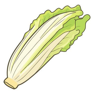 Çin lahana resmi, sebze grafikleri için mükemmel..