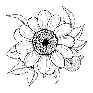 Basit bir çizgi sanatı vektör biçiminde sevimli bir ayçiçeği.