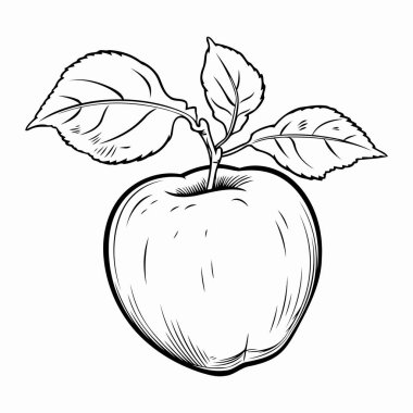 Basit çizgi sanatı vektör biçiminde şirin bir elma.