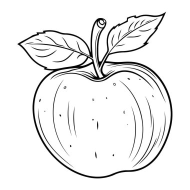 Sulu bir elma ve kök yaprağının canlı vektör çizimi, şirin bir taslak simgesi kadar mükemmel..