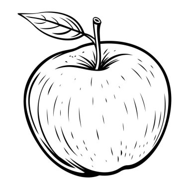 Temiz ve basit elma taslağı tasarım projeleriniz için mükemmel bir taslak ana taslak vektörü.