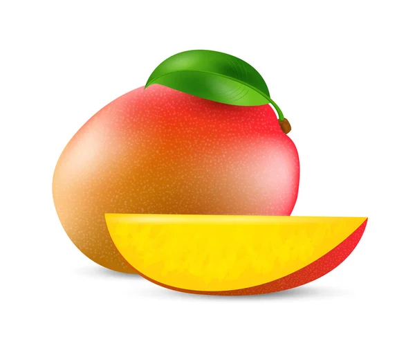 マンゴーフルーツ エキゾチックなフルーツコレクション リアルなデザインベクターイラストのクローズアップ — ストックベクタ