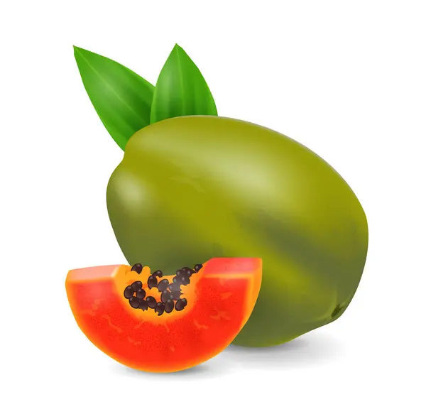 Papaye Fruits Collection Fruits Exotiques Dessin Réaliste Vectoriel Illustration Close — Image vectorielle