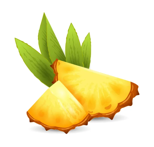 Ananas Collection Fruits Exotiques Illustration Vectorielle Réaliste Gros Plan — Image vectorielle