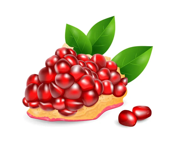 Granatapfelfrüchte Sammlung Exotischer Früchte Realistisches Design Vektor Illustration Nahaufnahme — Stockvektor