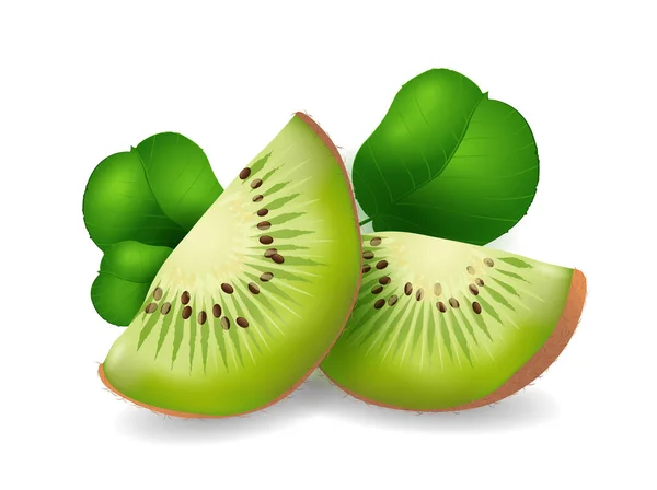 Kiwi Frutas Coleta Frutas Exóticas Ilustração Vetorial Design Realista Close — Vetor de Stock