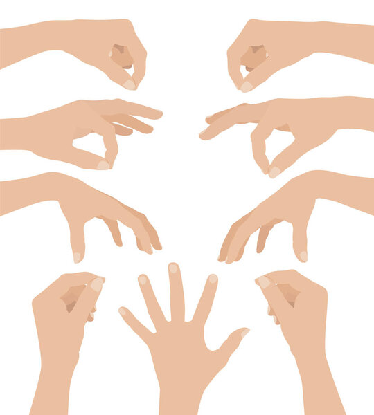 Set of Woman hands on white background, flat design vector illustration close-up