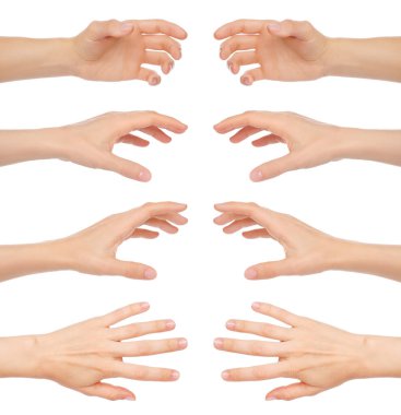 Farklı jestleri olan, şeffaf bir arkaplanda izole edilmiş kadın elleri.