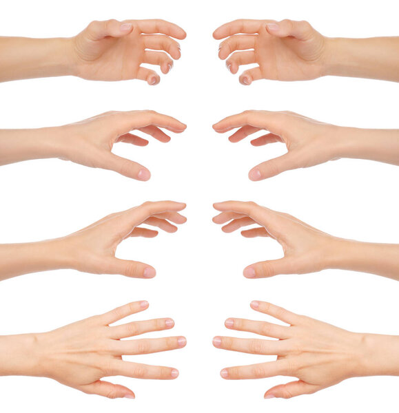 Set of Woman Hands with different gestures, isolated on a transparent background