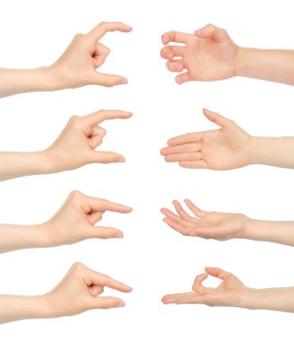 Beyaz arka planda izole edilmiş, el kol hareketleri olan kadın elleri.