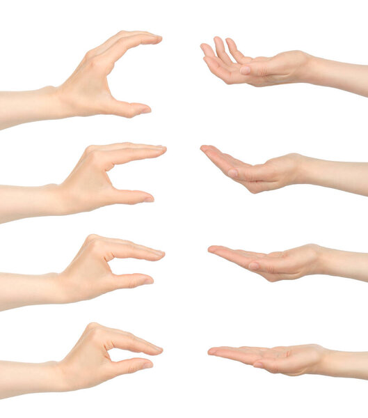 Set of Woman hands with stages of holding gestures, isolated on a white background