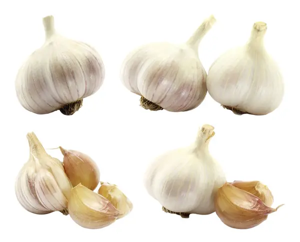 Stock image Set of Garlic Heads, isolated on a transparent background