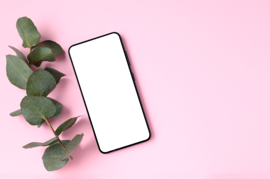 Gül arka planında okaliptüs bitkisi ile boş ekran ile Akıllı Telefon