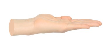 Eller, şeffaf bir arkaplanda sanal bir şey tuttuğunu gösteriyor. Çağdaş sanat