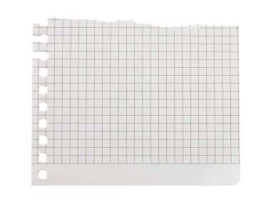 Saydam bir arkaplanda izole edilmiş yırtık bir not defteri kağıdı. Ofis içi boş kağıt kavramı