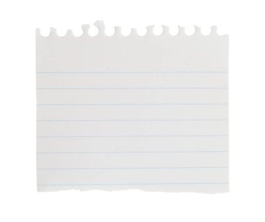 Saydam bir arkaplanda izole edilmiş yırtık bir not defteri kağıdı. Ofis içi boş kağıt kavramı