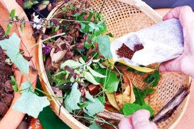 Çöp tenekesinde organik gübre hazırlayarak, arta kalan yiyecek yaprakları ve bitkilerle dolu sepetin kapanışı. 