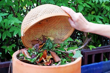 Çöp tenekesinde organik gübre hazırlayarak, arta kalan yiyecek yaprakları ve bitkilerle dolu sepetin kapanışı. 