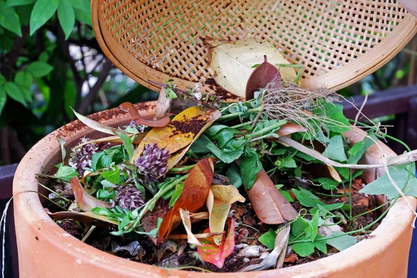 Çöp tenekesinde organik gübre hazırlayarak, arta kalan yiyecek yaprakları ve bitkilerle dolu sepetin kapanışı. 