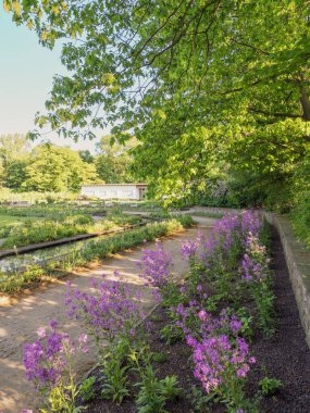 Dowesee parkında yürüyüş yolu leylak çiçekleriyle kaplı, yapay bir gölet, güneşli bir yaz günü. Kavram - Avrupa 'da temiz ekoloji, çevre sorunları, doğa ekonomisi