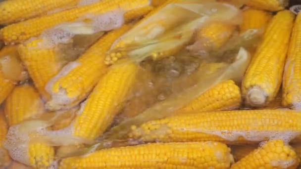 Κουκούλια Γλυκού Καλαμποκιού Βράζονται Βραστό Νερό Τρόφιμα Φτωχών Χωρών Σωστή — Αρχείο Βίντεο